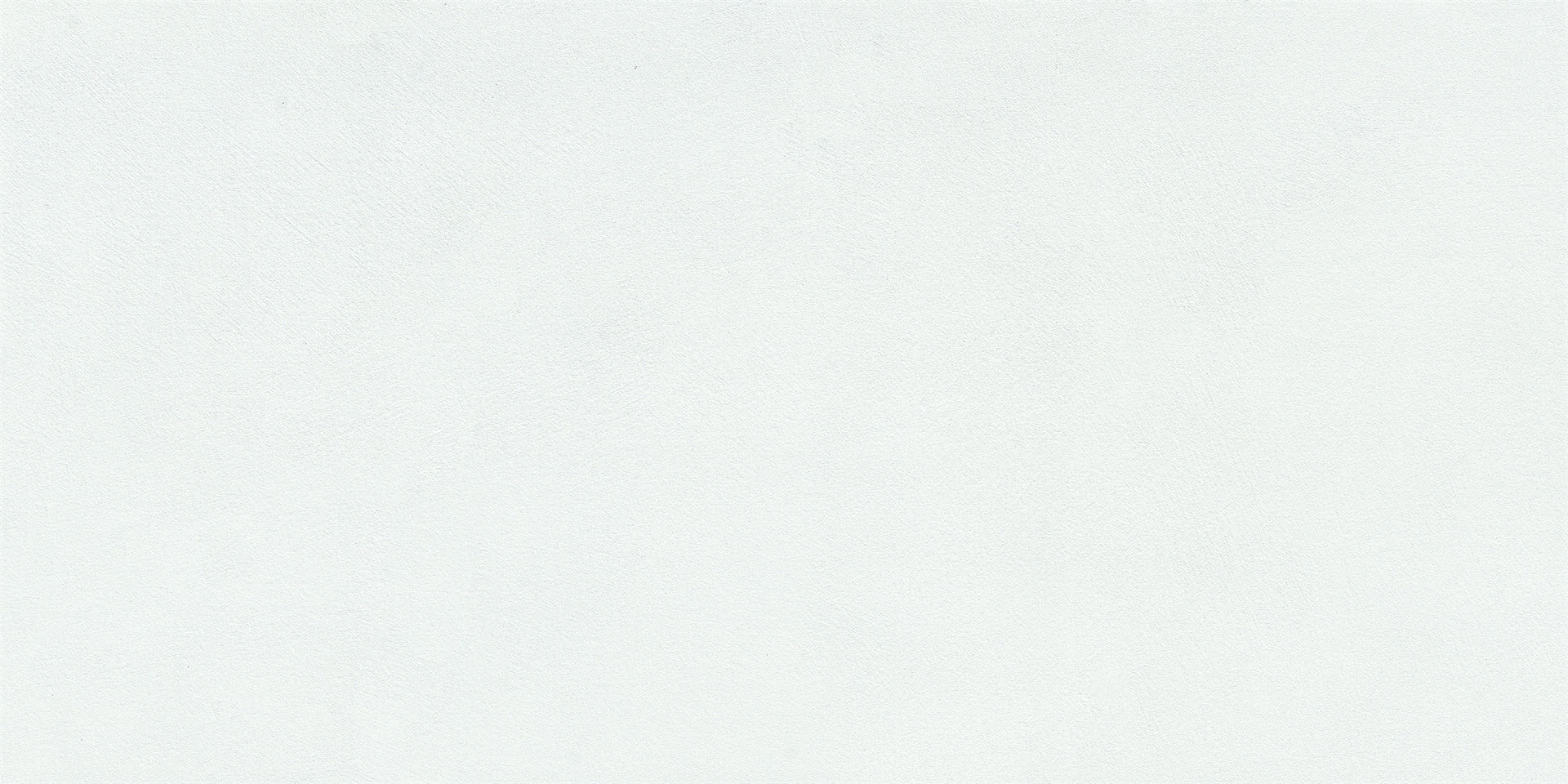 雅WP12682